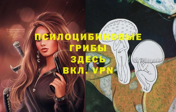 прущие крисы Алексин